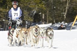 Kandersteg 2009 EM