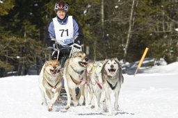 Kandersteg 2009 EM