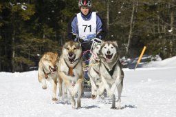 Kandersteg 2009 EM