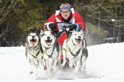 Kandersteg 2009 EM