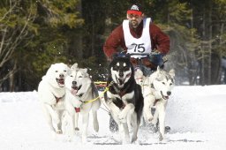 Kandersteg 2009 EM