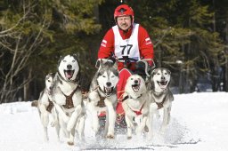 Kandersteg 2009 EM