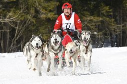Kandersteg 2009 EM