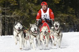 Kandersteg 2009 EM