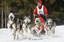 Kandersteg 2009 EM