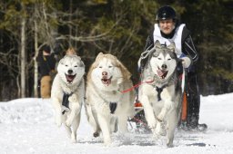 Kandersteg 2009 EM