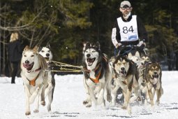 Kandersteg 2009 EM