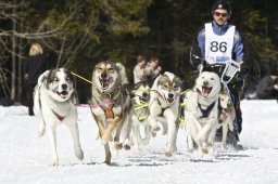 Kandersteg 2009 EM