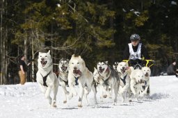 Kandersteg 2009 EM