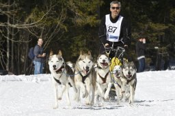 Kandersteg 2009 EM