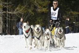 Kandersteg 2009 EM