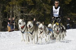 Kandersteg 2009 EM