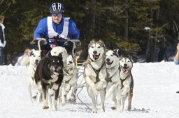 Kandersteg 2009 EM