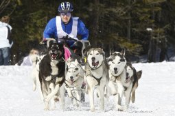 Kandersteg 2009 EM