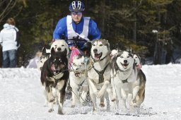 Kandersteg 2009 EM