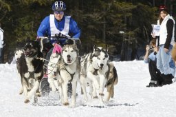Kandersteg 2009 EM