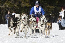 Kandersteg 2009 EM