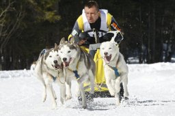 Kandersteg 2009 EM