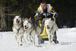 Kandersteg 2009 EM