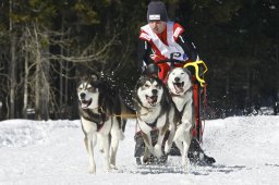 Kandersteg 2009 EM