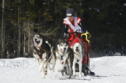 Kandersteg 2009 EM
