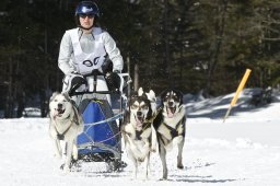Kandersteg 2009 EM