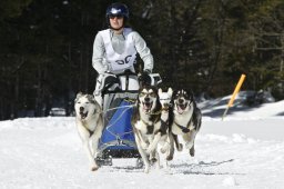 Kandersteg 2009 EM