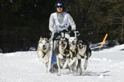 Kandersteg 2009 EM