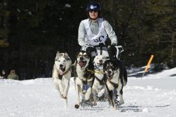Kandersteg 2009 EM