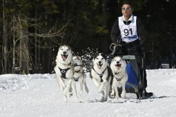 Kandersteg 2009 EM
