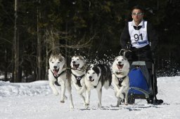 Kandersteg 2009 EM