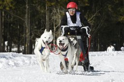 Kandersteg 2009 EM