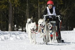 Kandersteg 2009 EM