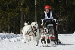 Kandersteg 2009 EM
