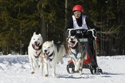 Kandersteg 2009 EM