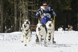 Kandersteg 2009 EM