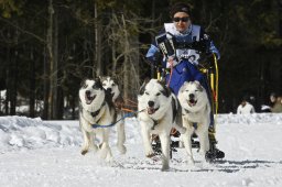 Kandersteg 2009 EM