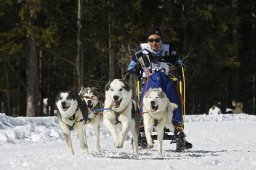 Kandersteg 2009 EM