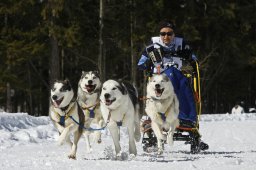 Kandersteg 2009 EM