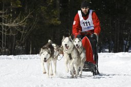 Kandersteg 2009 EM