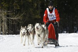 Kandersteg 2009 EM