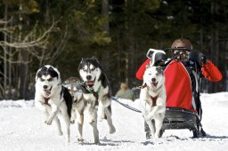 Kandersteg 2009 EM