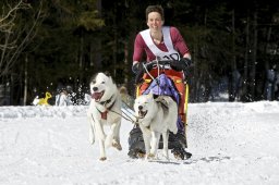 Kandersteg 2009 EM