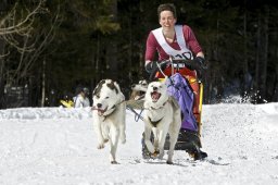 Kandersteg 2009 EM