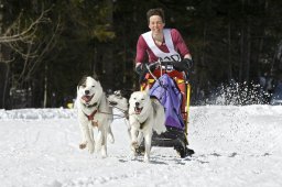 Kandersteg 2009 EM