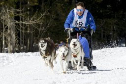 Kandersteg 2009 EM