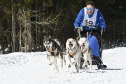 Kandersteg 2009 EM