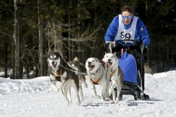 Kandersteg 2009 EM
