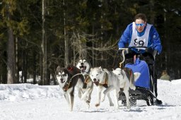 Kandersteg 2009 EM