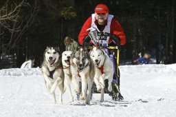 Kandersteg 2009 EM